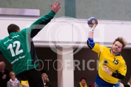 151128FRHSGHVL304.jpg
