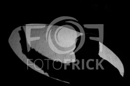 181110FRLHCSGU006.JPG