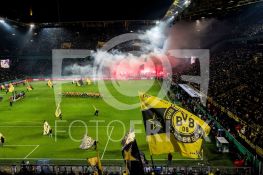 190205FRBVBSVW007.JPG