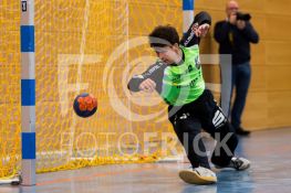161204FRVFLHSV081.JPG