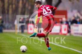 181103FRVFBKLF061.JPG