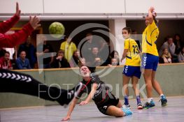 29.10.2016 - Brandenburgliga - HSG Ahrensdorf/Schenkenhorst - Brandenburg West