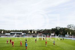 181006FRLFCSVBWZ051.JPG