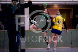 190202FRHSGGSV026.JPG