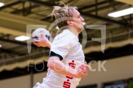 171125FRHVWLHC044.JPG