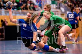 190105FRHVGWHSGT041.JPG