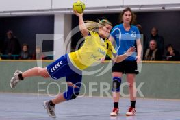 19.01.2013 - Verbandsliga - HSG Ahrensdorf/Schenkenhorst - SG Blau-Gelb Laubsdorf