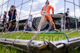 190505FRTPMSVD017.JPG