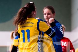 190504FRHSGHSV510.JPG