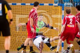 161204FRVFLHSV069.JPG