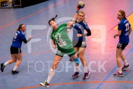 190105FRHVGWHSGT018.JPG