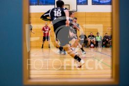 190127FRVFLFH032.JPG