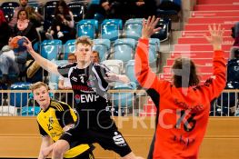 180218FRVFLTSV044.JPG