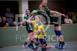 190202FRHSGGSV032.JPG