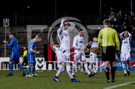 08.03.2019 - Regionalliga - SV Babelsberg 03 - FSV Wacker 90 Nordhausen