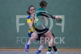 190202FRHSGGSV013.JPG