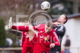 161120FRSCELFC015.JPG
