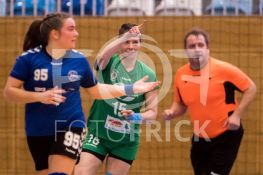 190105FRHVGWHSGT008.JPG